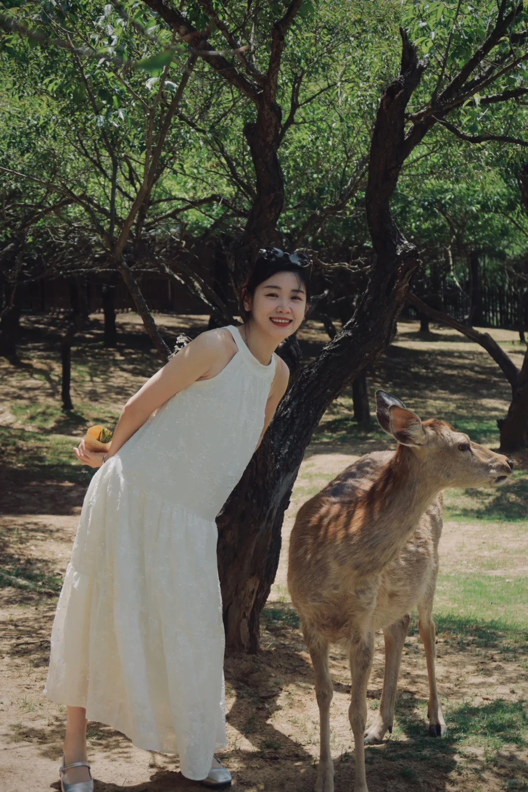 离开南京前 整理了一份钟山风景区全攻略