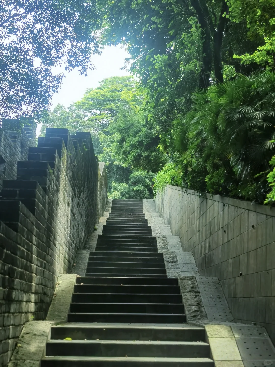 04女大独自南下📍广州三日游|路线分享~