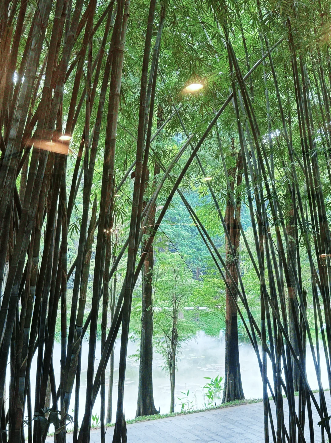 04女大独自南下📍广州三日游|路线分享~