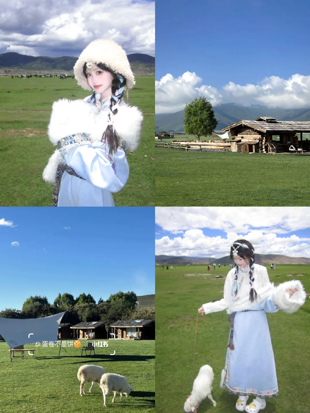 云南已回，七天花了2600💰好玩又不贵…