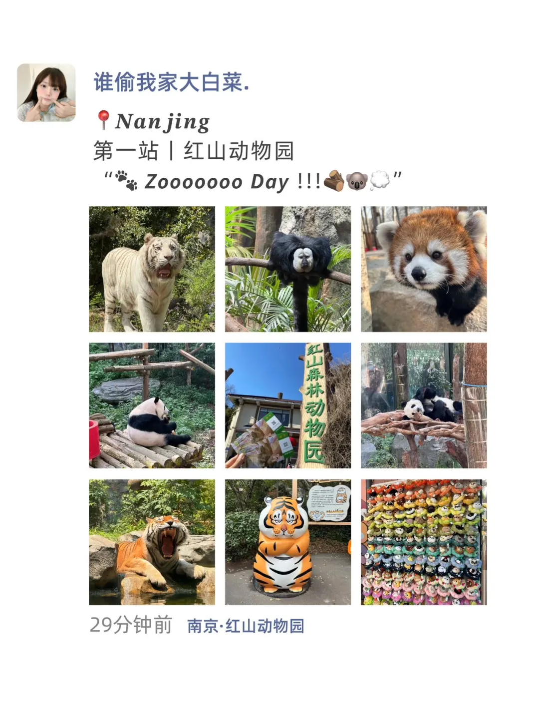 📝南京旅游文案 | 来南京这么发被赞爆！！