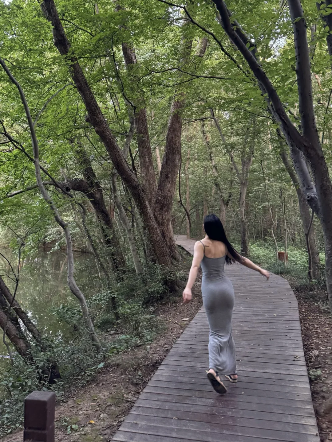 中山陵.雨花茶园