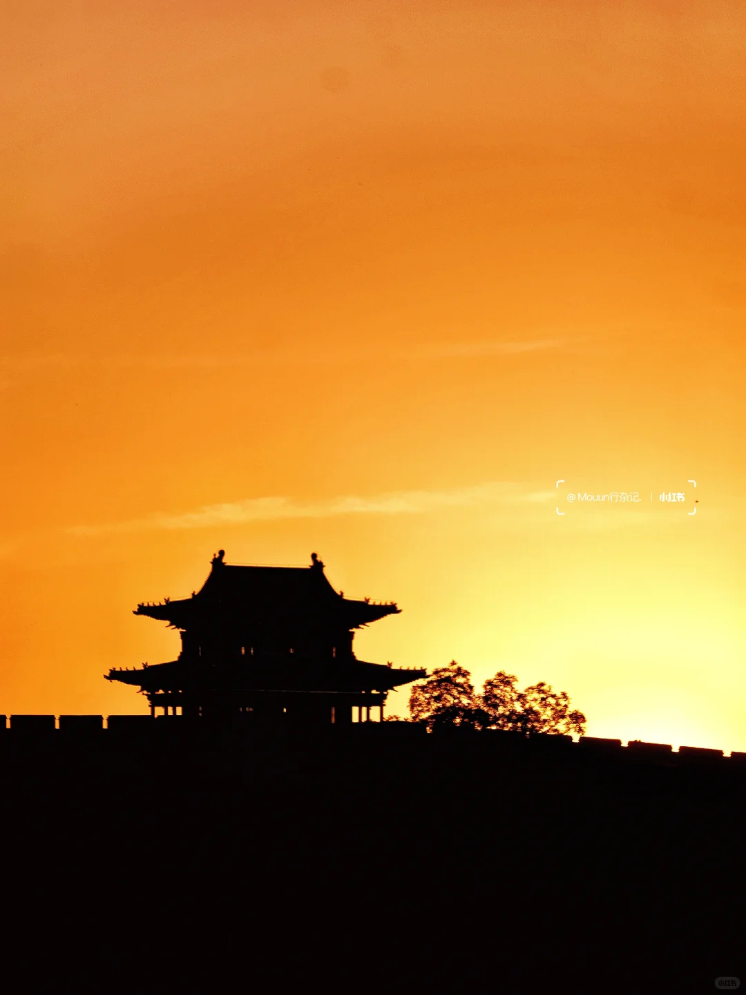 央视没有骗我…忻州古城真的很宝藏‼️