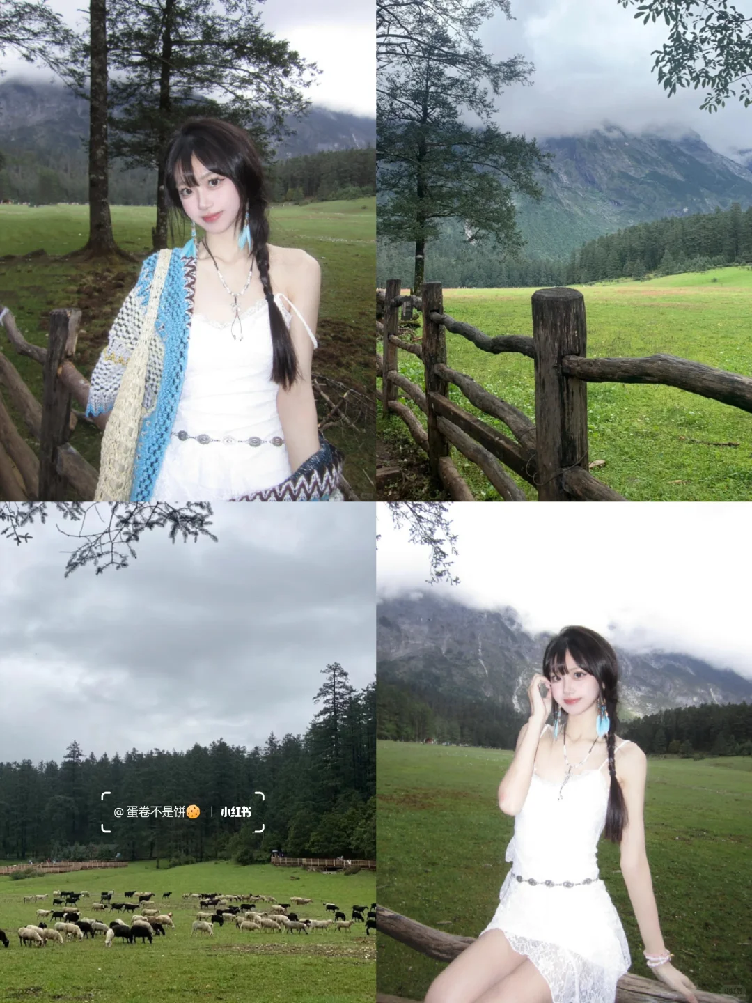 云南已回，七天花了2600💰好玩又不贵…