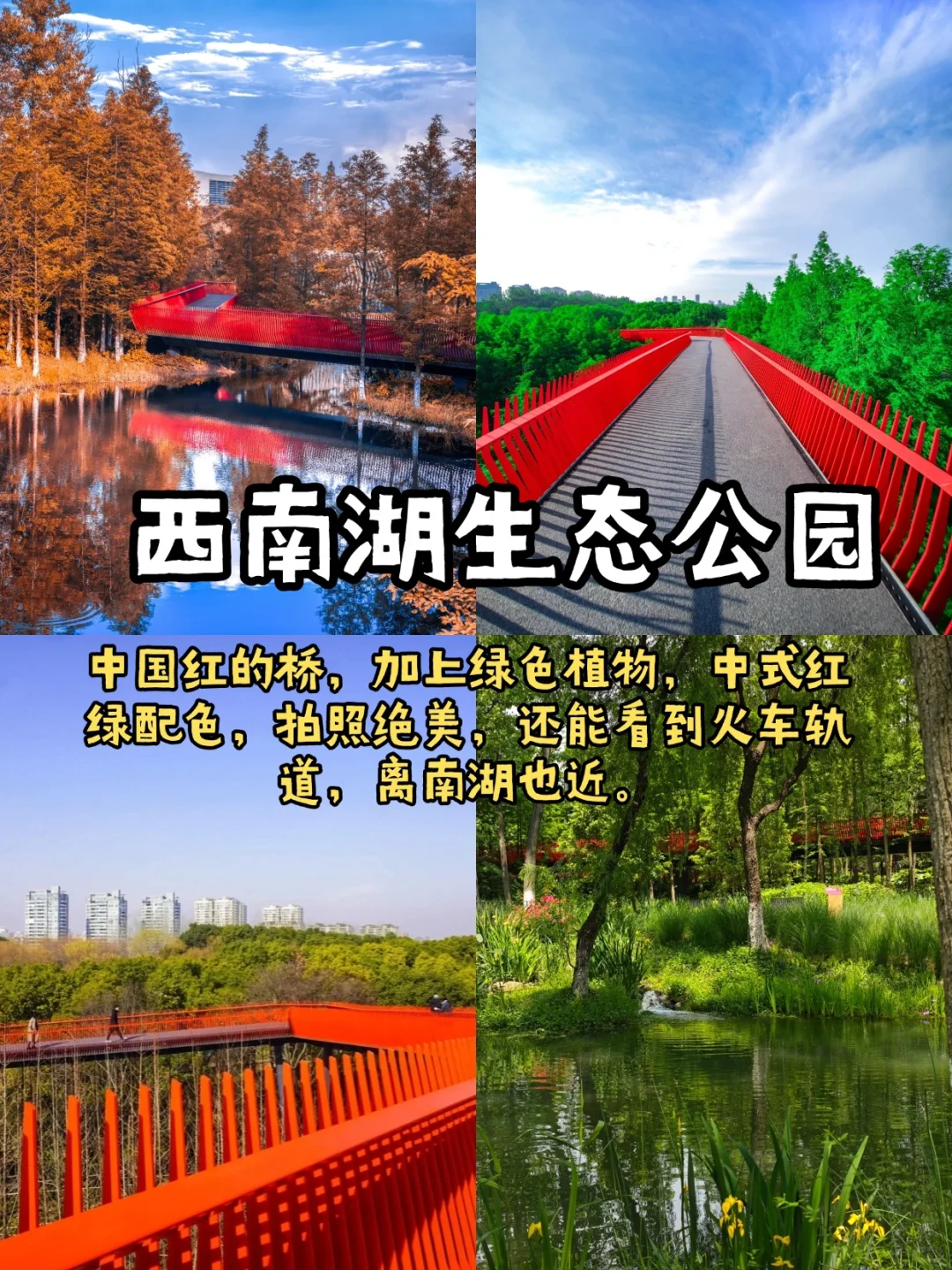 嘉兴| 第一次来嘉兴，citywalk逛吃攻略来了