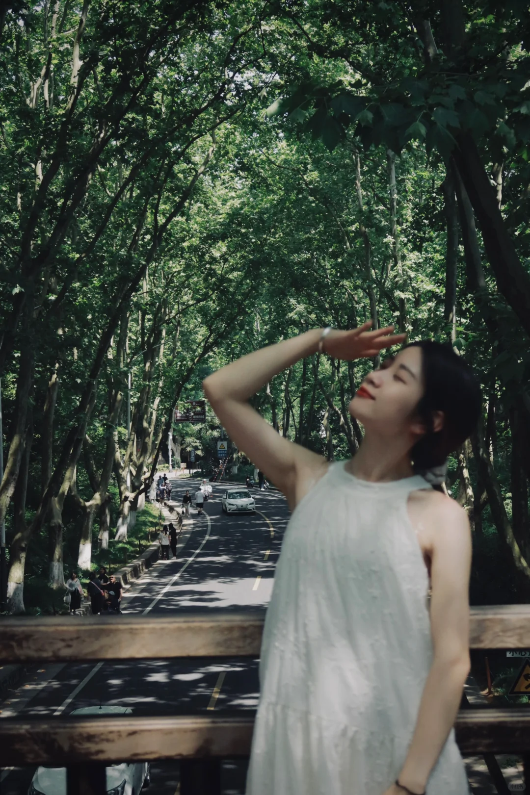 离开南京前 整理了一份钟山风景区全攻略