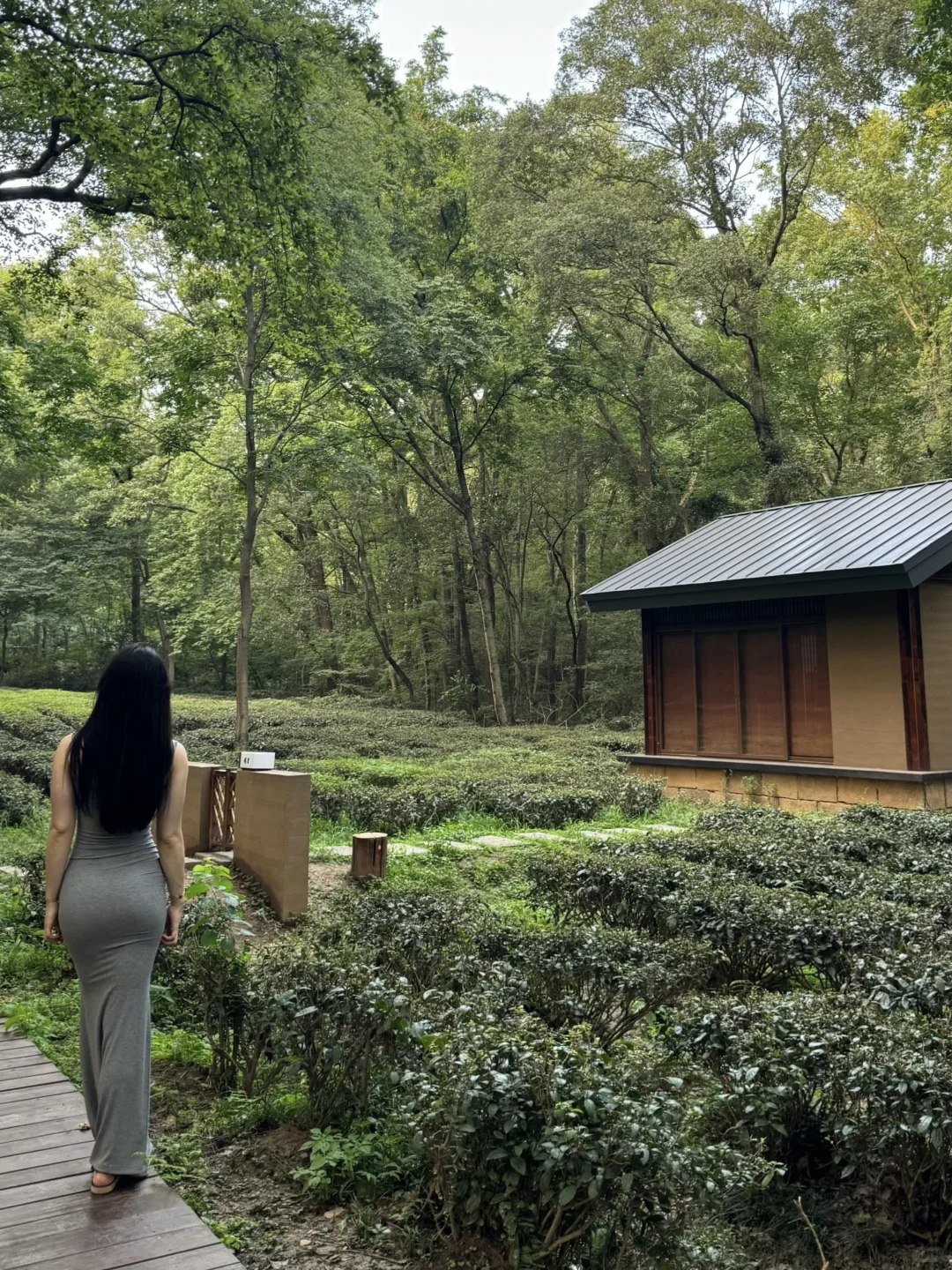 中山陵.雨花茶园