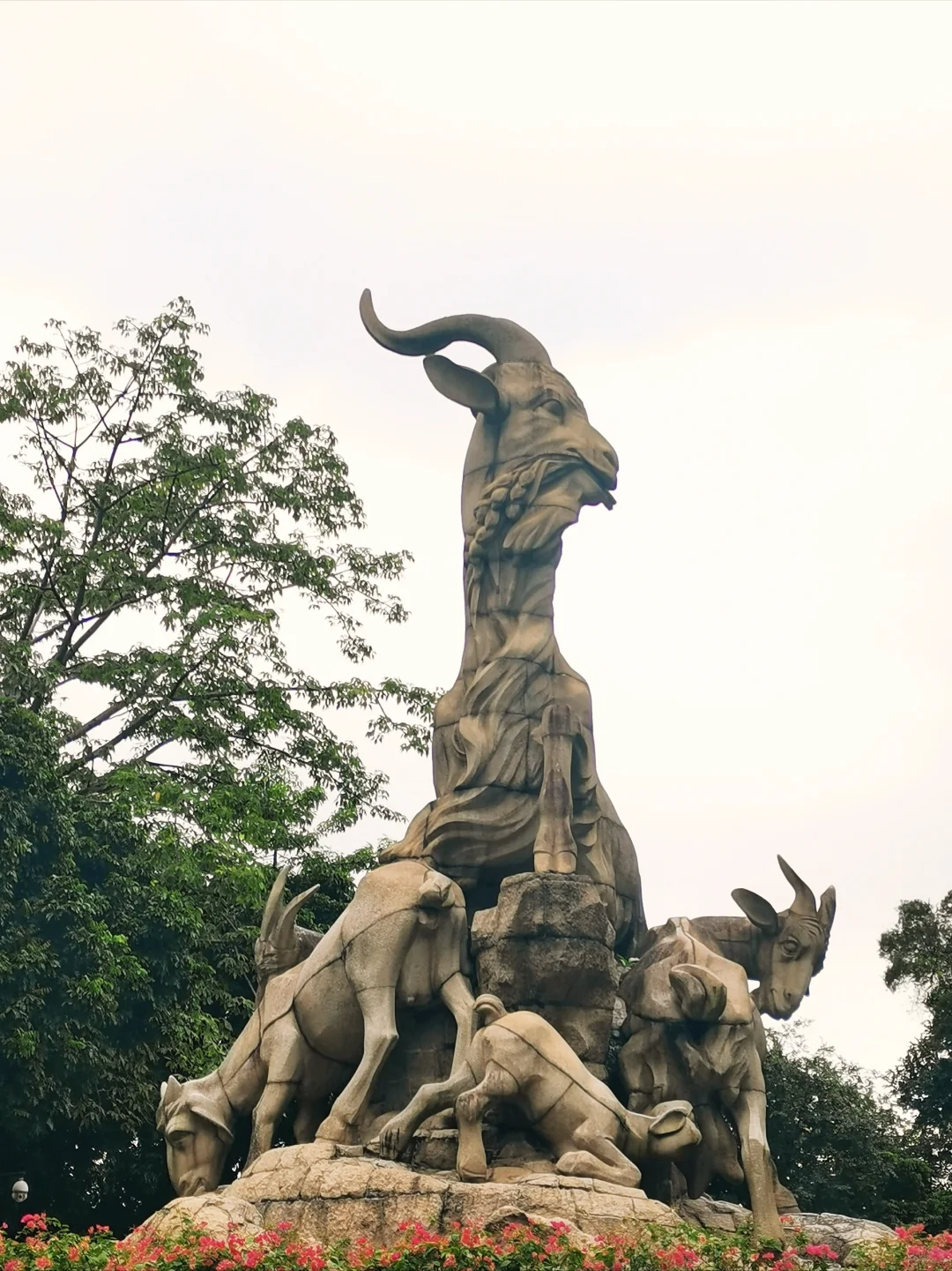 04女大独自南下📍广州三日游|路线分享~