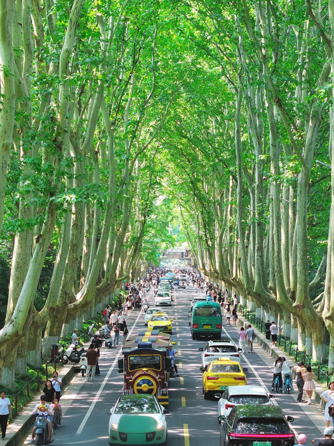 📍南京3天2晚全攻略｜附详细路线+打卡机位📸