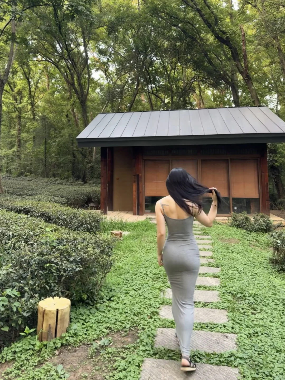 中山陵.雨花茶园