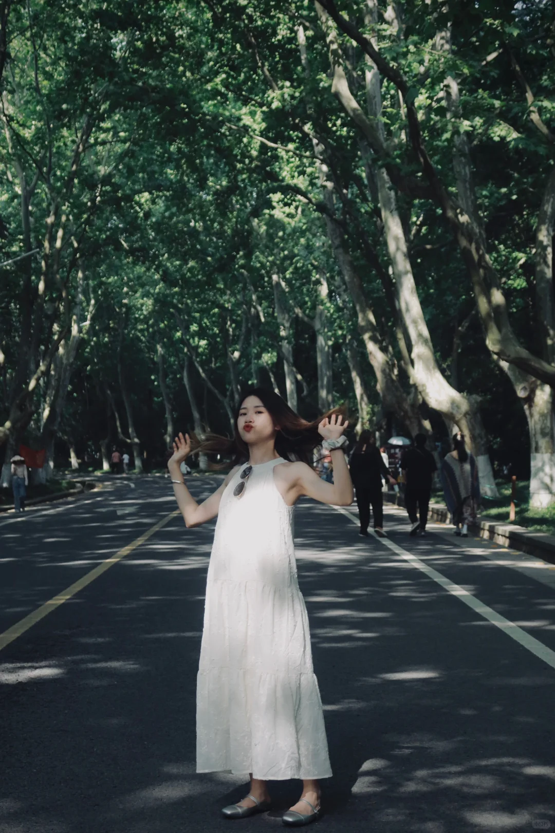 离开南京前 整理了一份钟山风景区全攻略