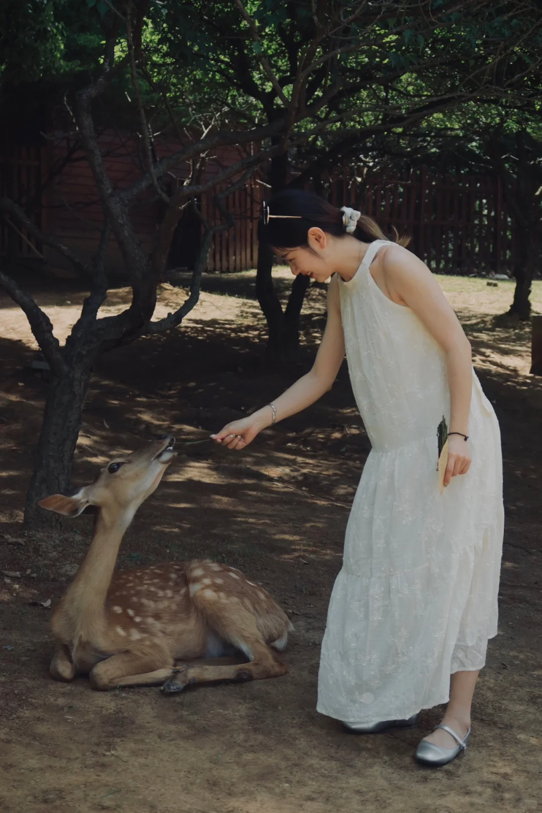 离开南京前 整理了一份钟山风景区全攻略
