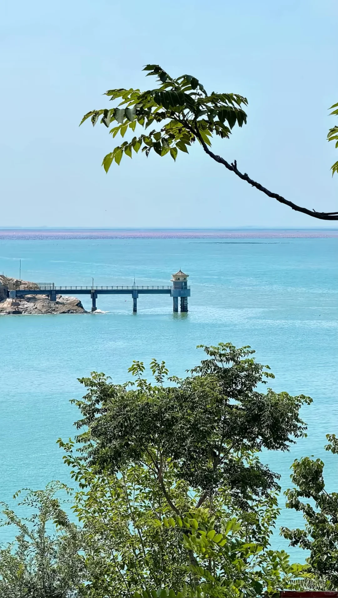 🌊郑州—徐州—连云港（四天三夜攻略）