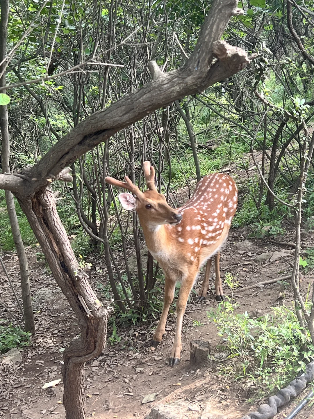不走弯路的大连旅游攻略（第一天）