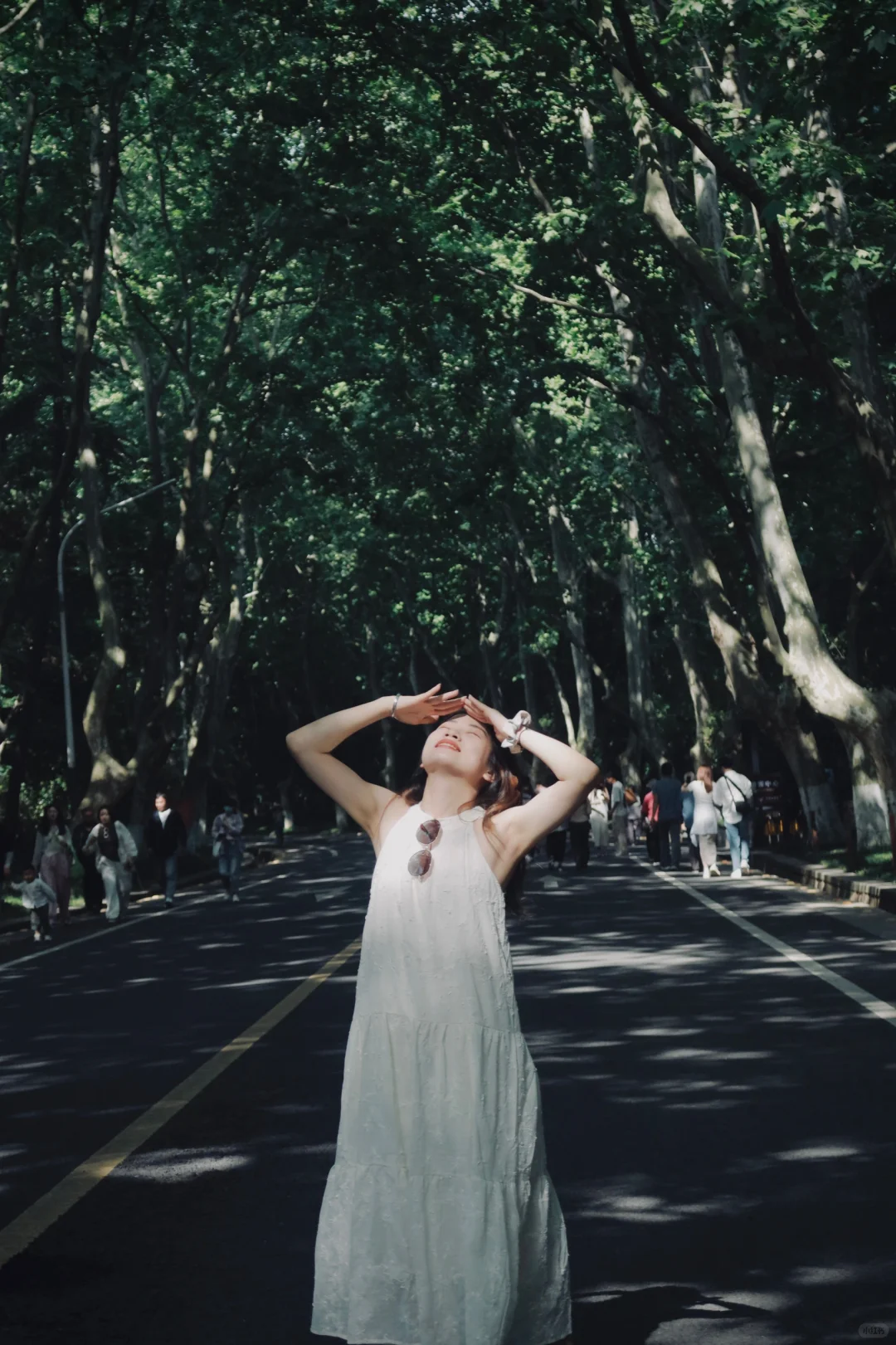 离开南京前 整理了一份钟山风景区全攻略