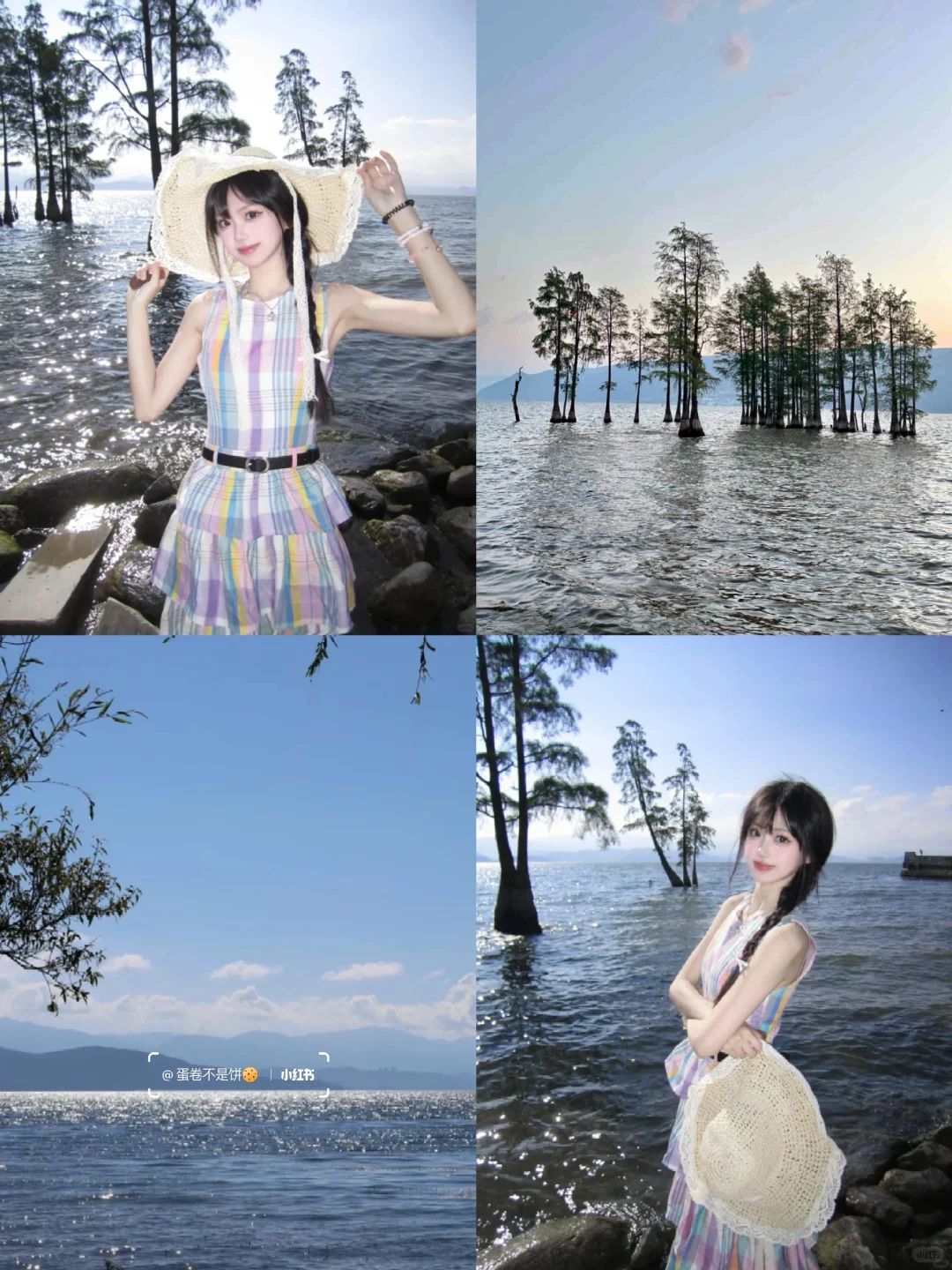 云南已回，七天花了2600💰好玩又不贵…