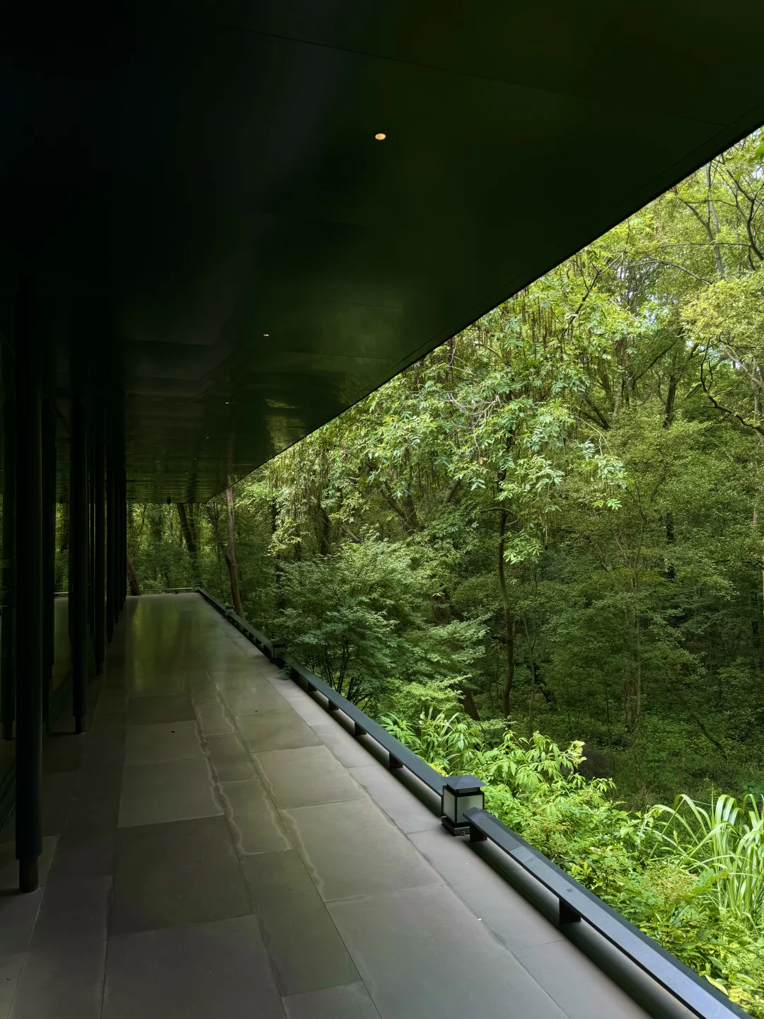 在南京花的最值的一笔钱……