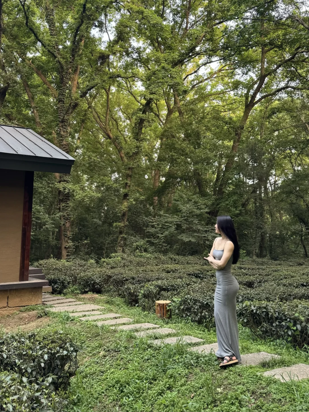 中山陵.雨花茶园