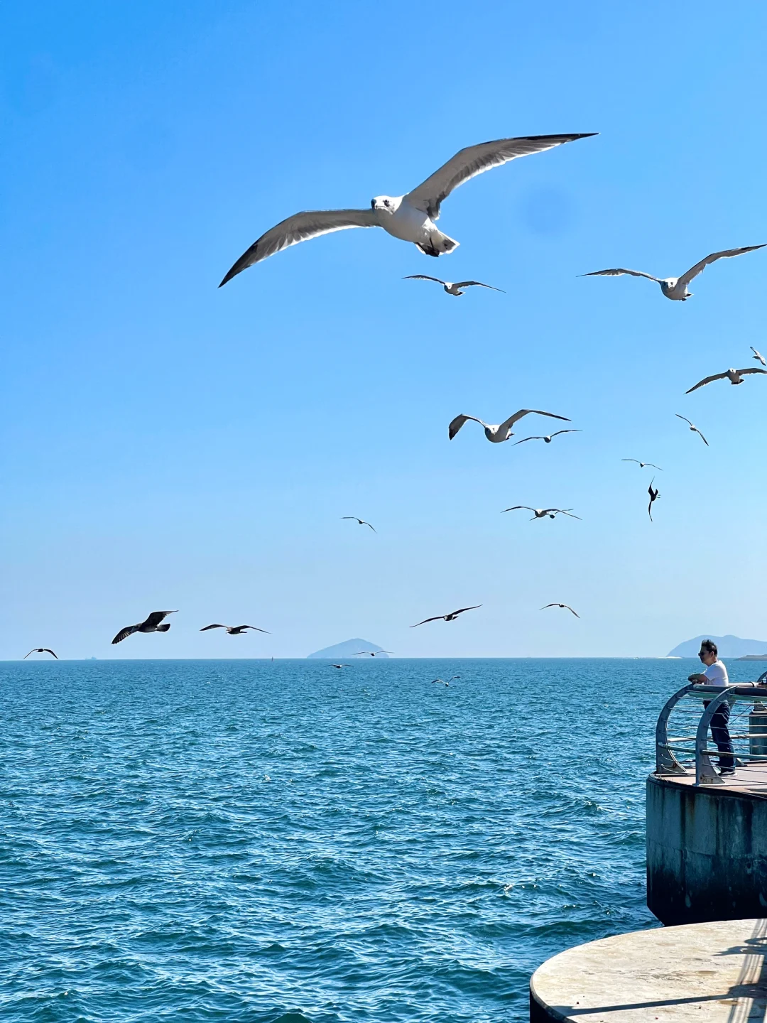 答应我一定要九月去大连！💙