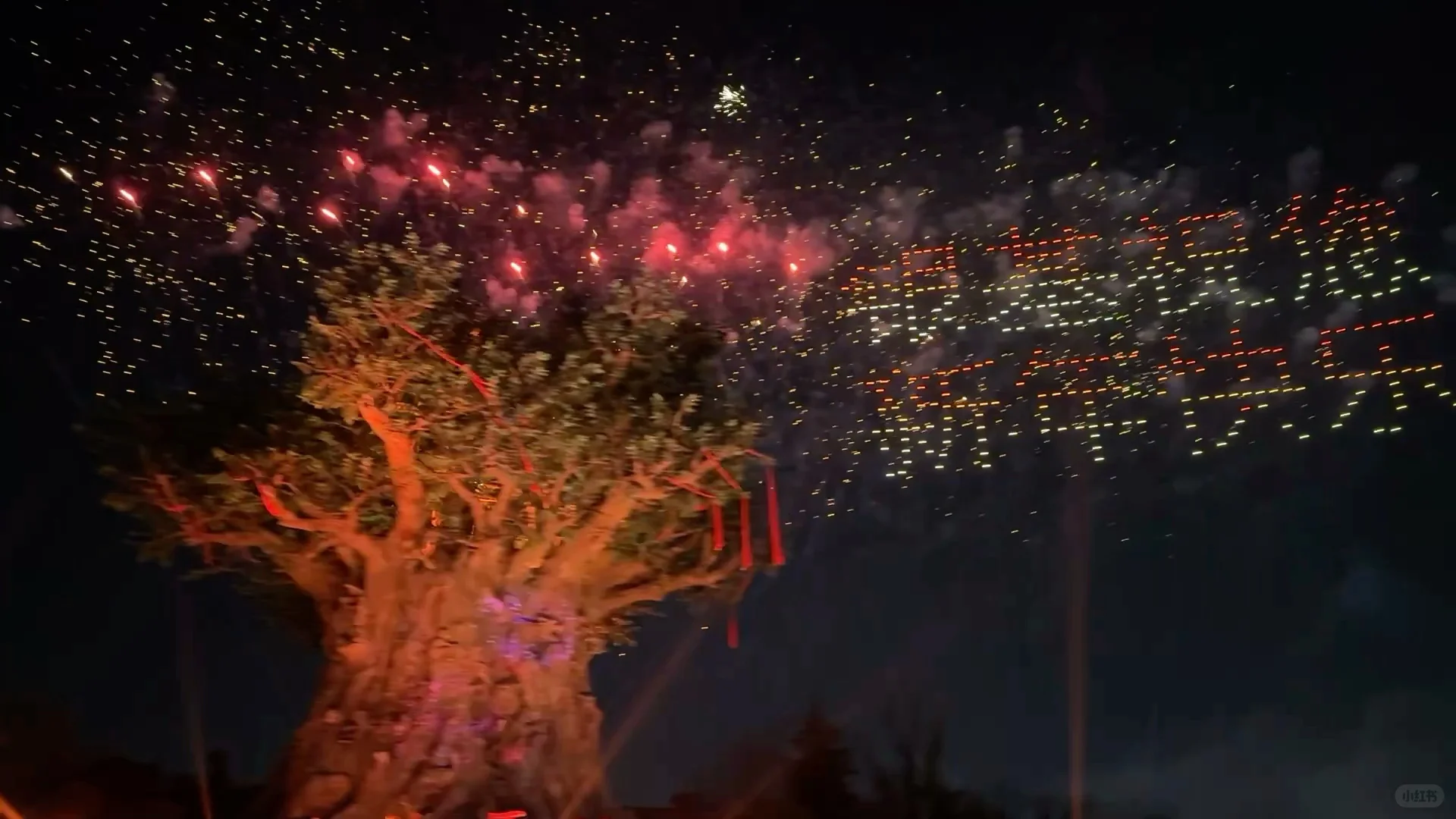 🌟郑州银基动物王国一日游超全攻略来啦！🌟