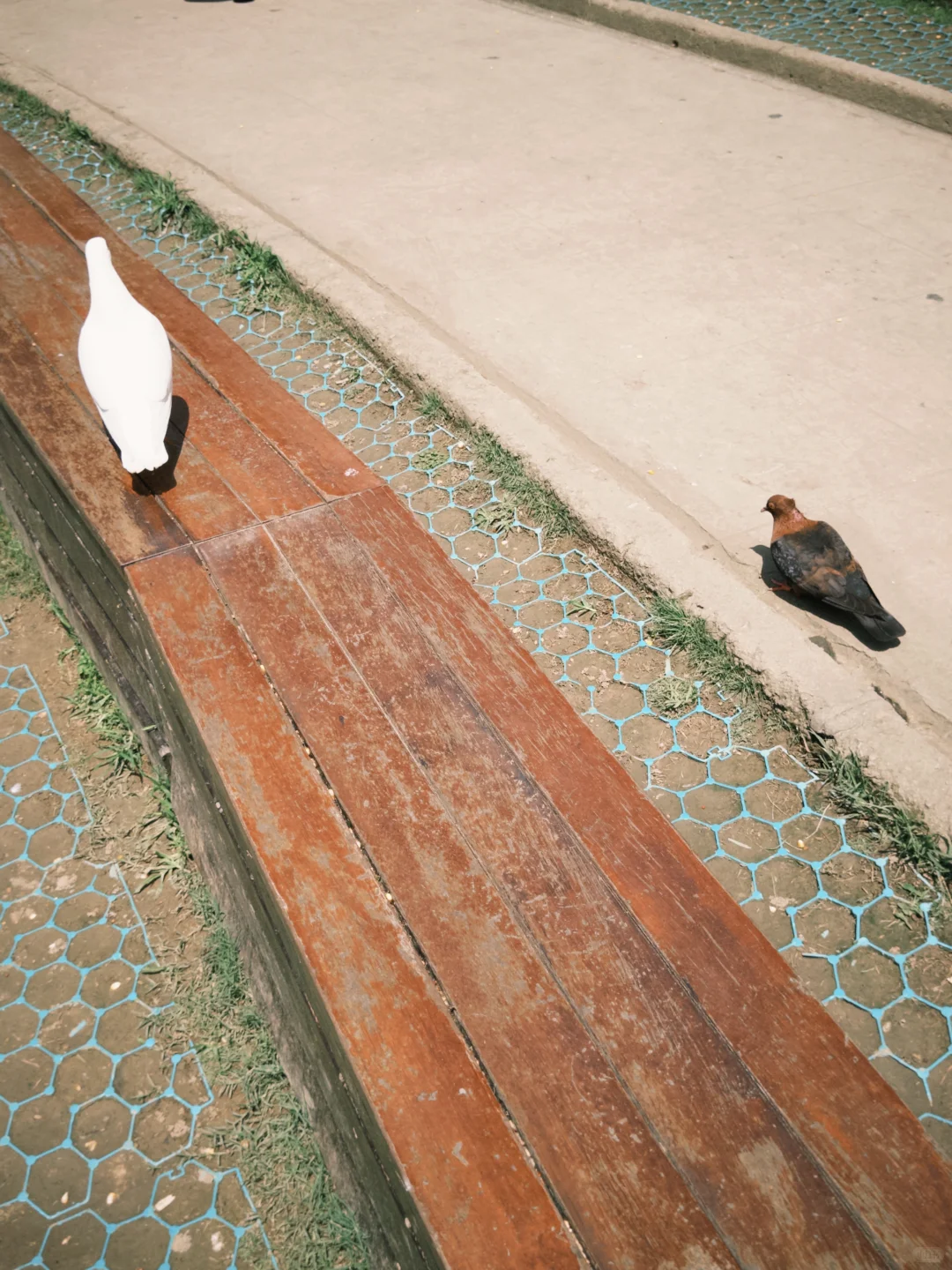 音乐台用dazz啊！！！妥妥富士✅