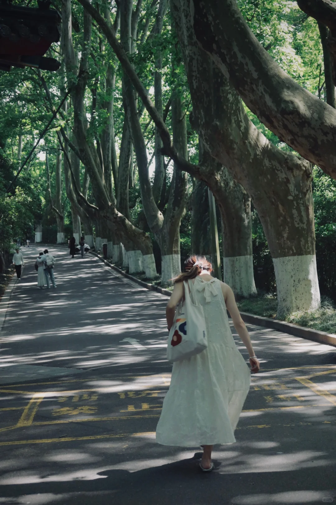 离开南京前 整理了一份钟山风景区全攻略