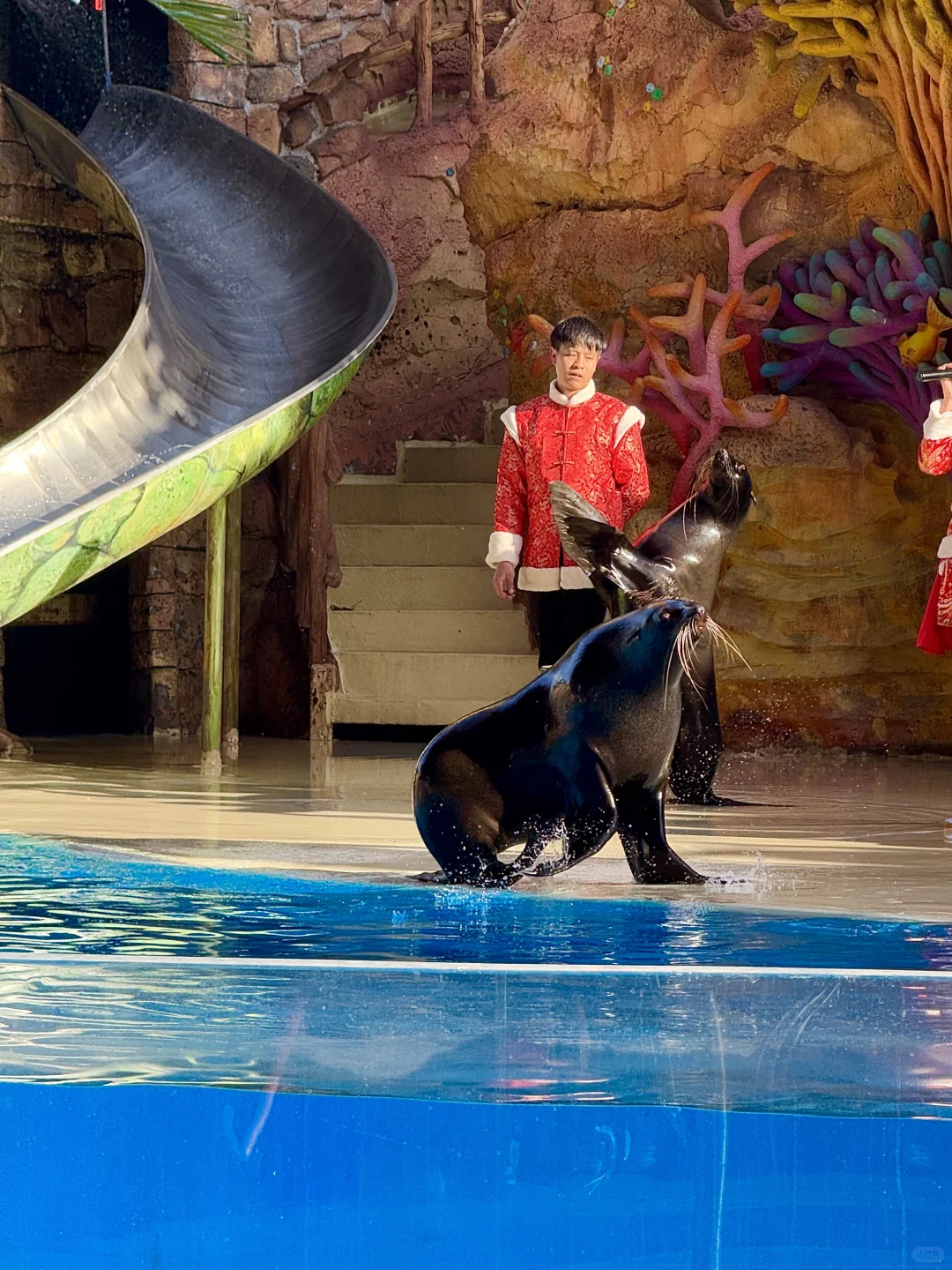 🌟郑州银基动物王国一日游超全攻略来啦！🌟