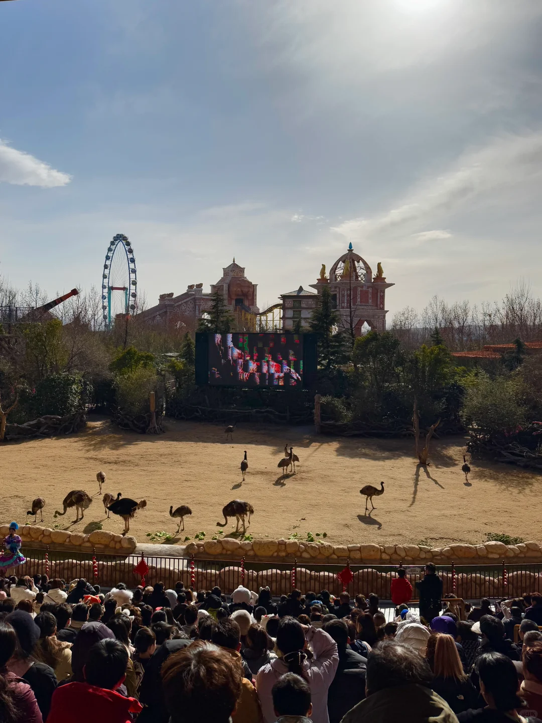 🌟郑州银基动物王国一日游超全攻略来啦！🌟