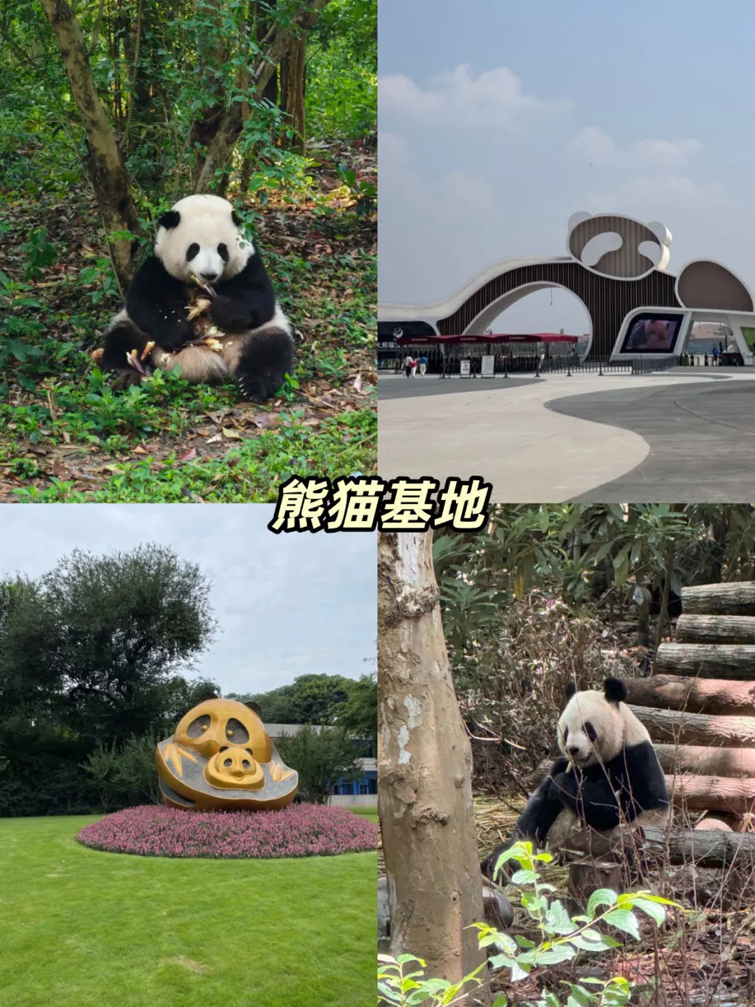 男朋友做的成都旅游攻略已经next level了-