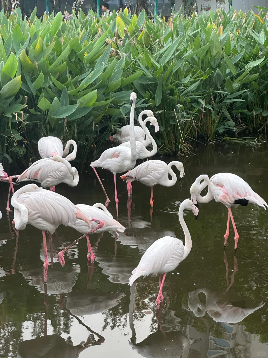 04女大独自南下📍广州三日游|路线分享~