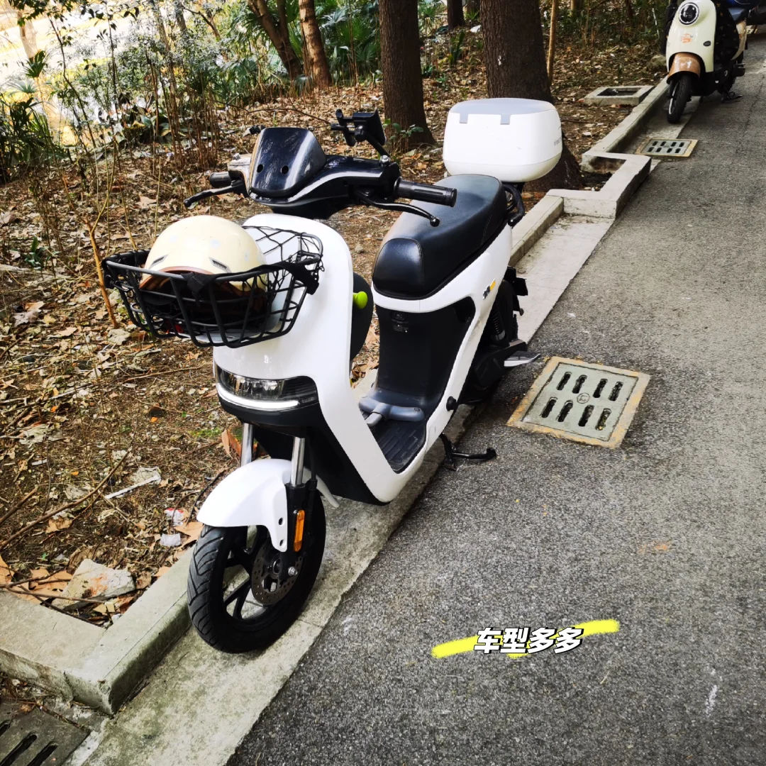 来钟山风景区,必进的帖子❗❗❗