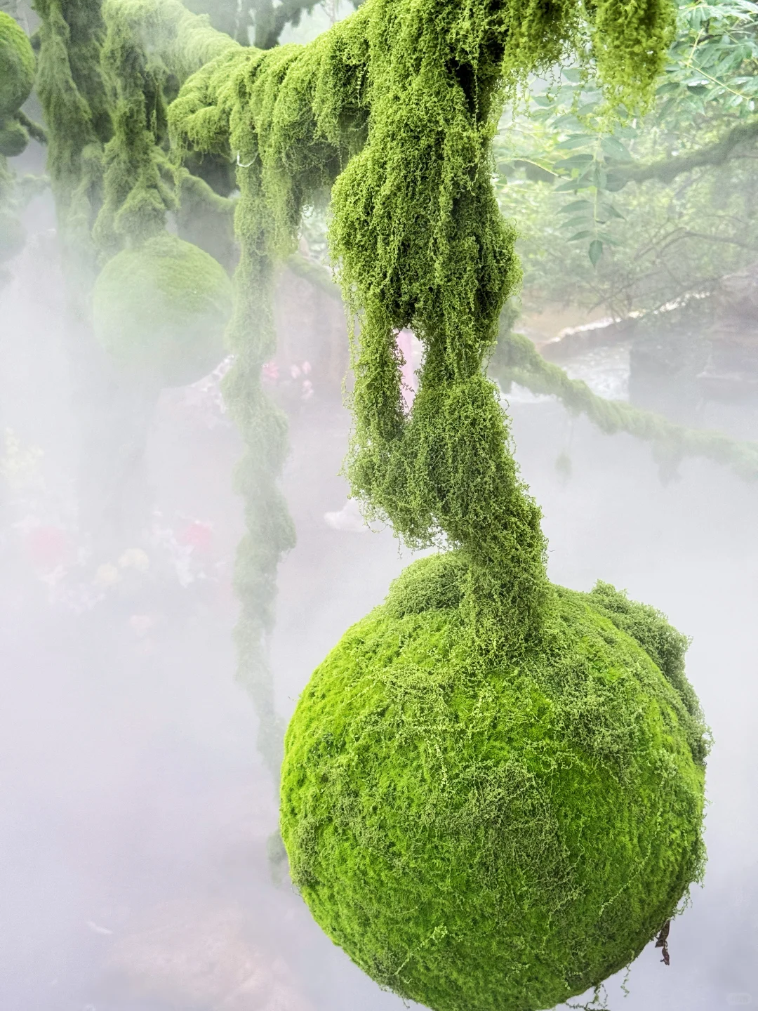 石家庄2h直达!邯郸十六沟一日游攻略!超出片