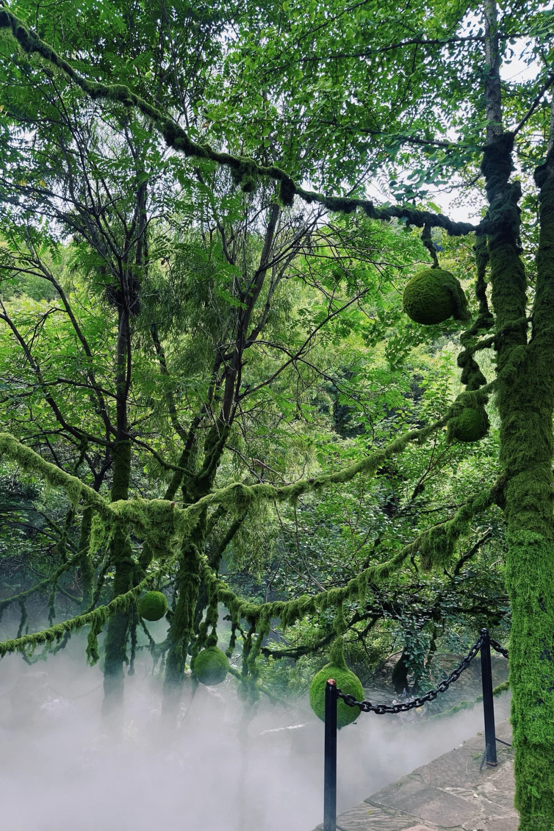 石家庄…2小时直达乌镇⛰️🍃