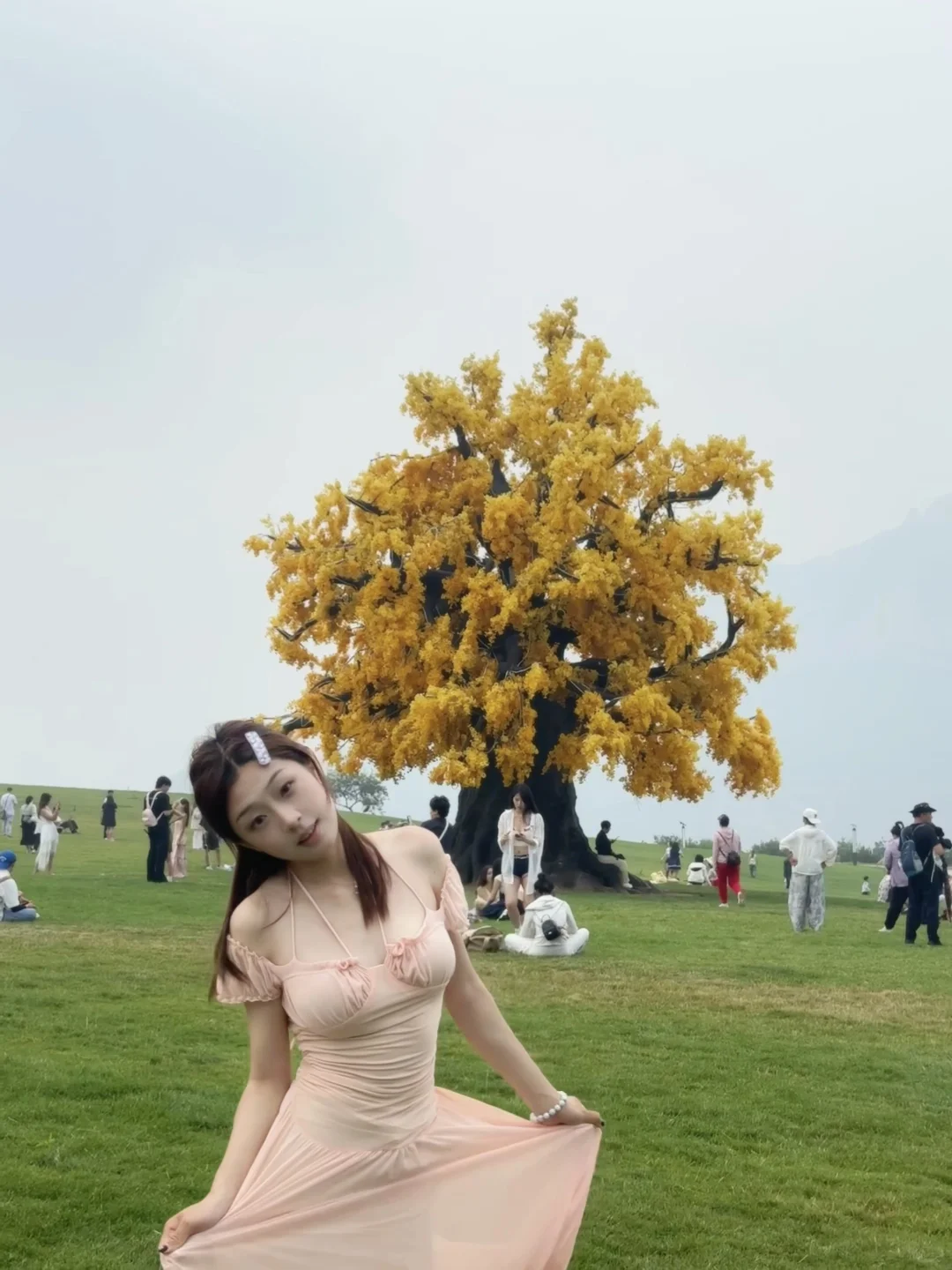 好无语..这居然是今年邯郸爆款打卡地