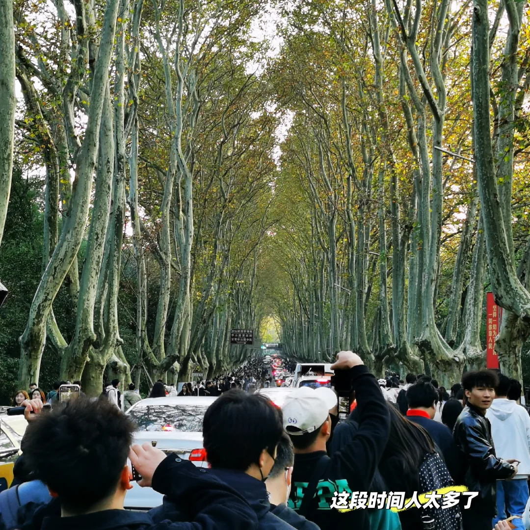 来钟山风景区,必进的帖子❗❗❗