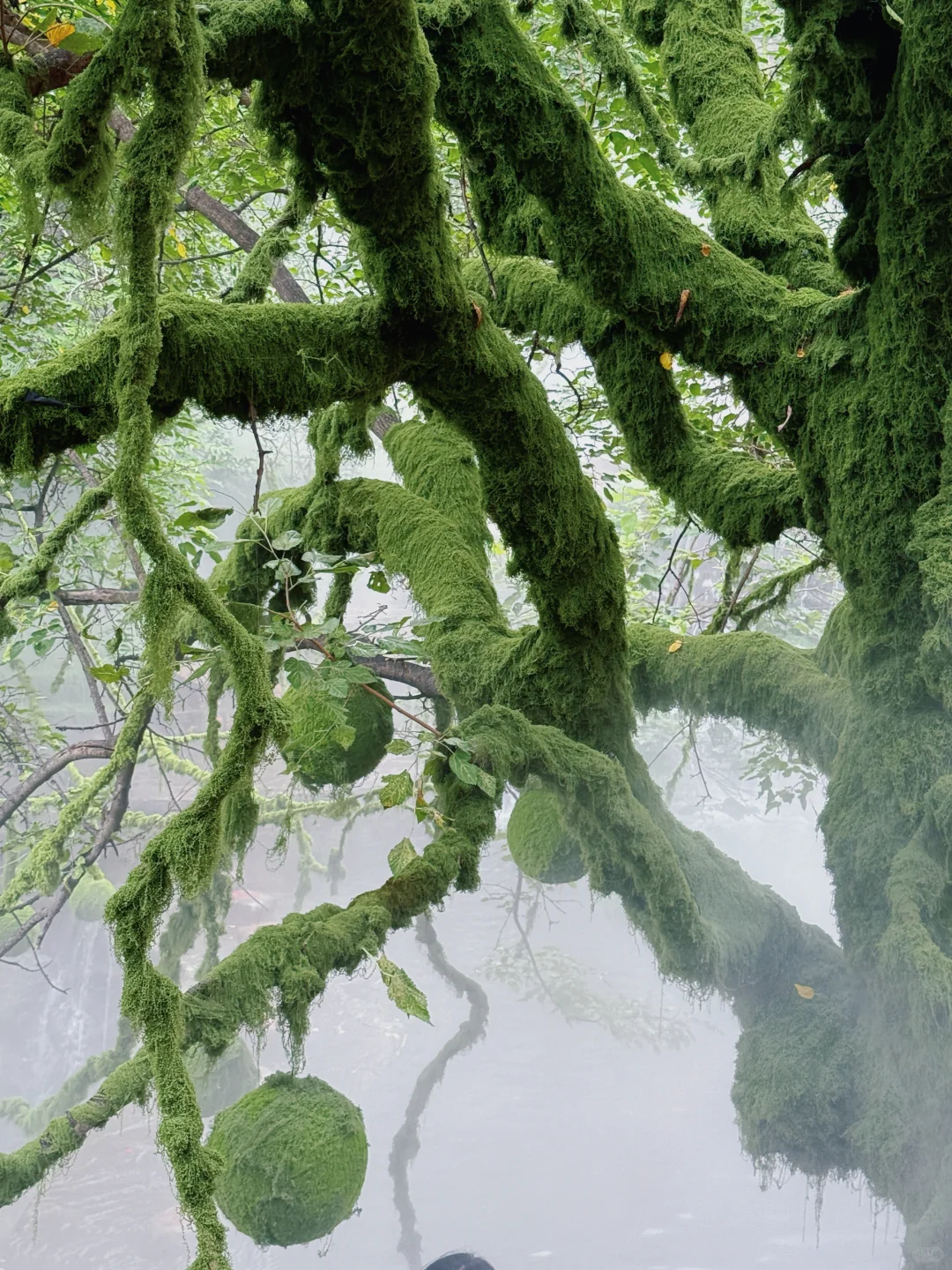 石家庄2h直达!邯郸十六沟一日游攻略!超出片