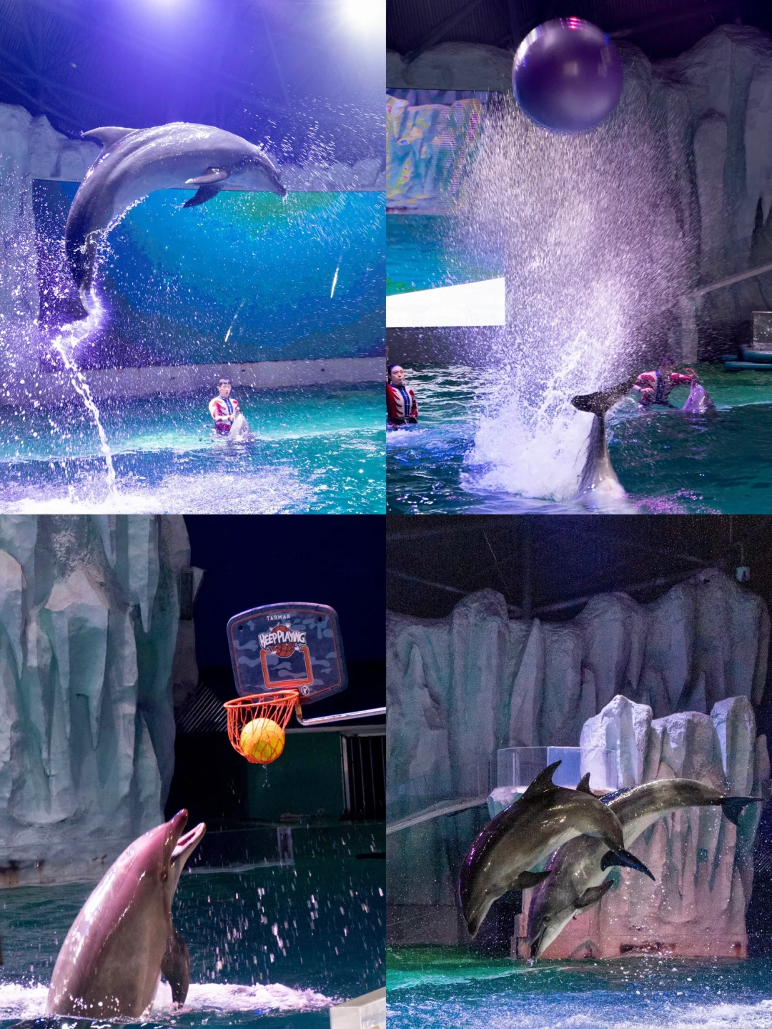 哈尔滨📍三天两夜｜懒人版旅游攻略