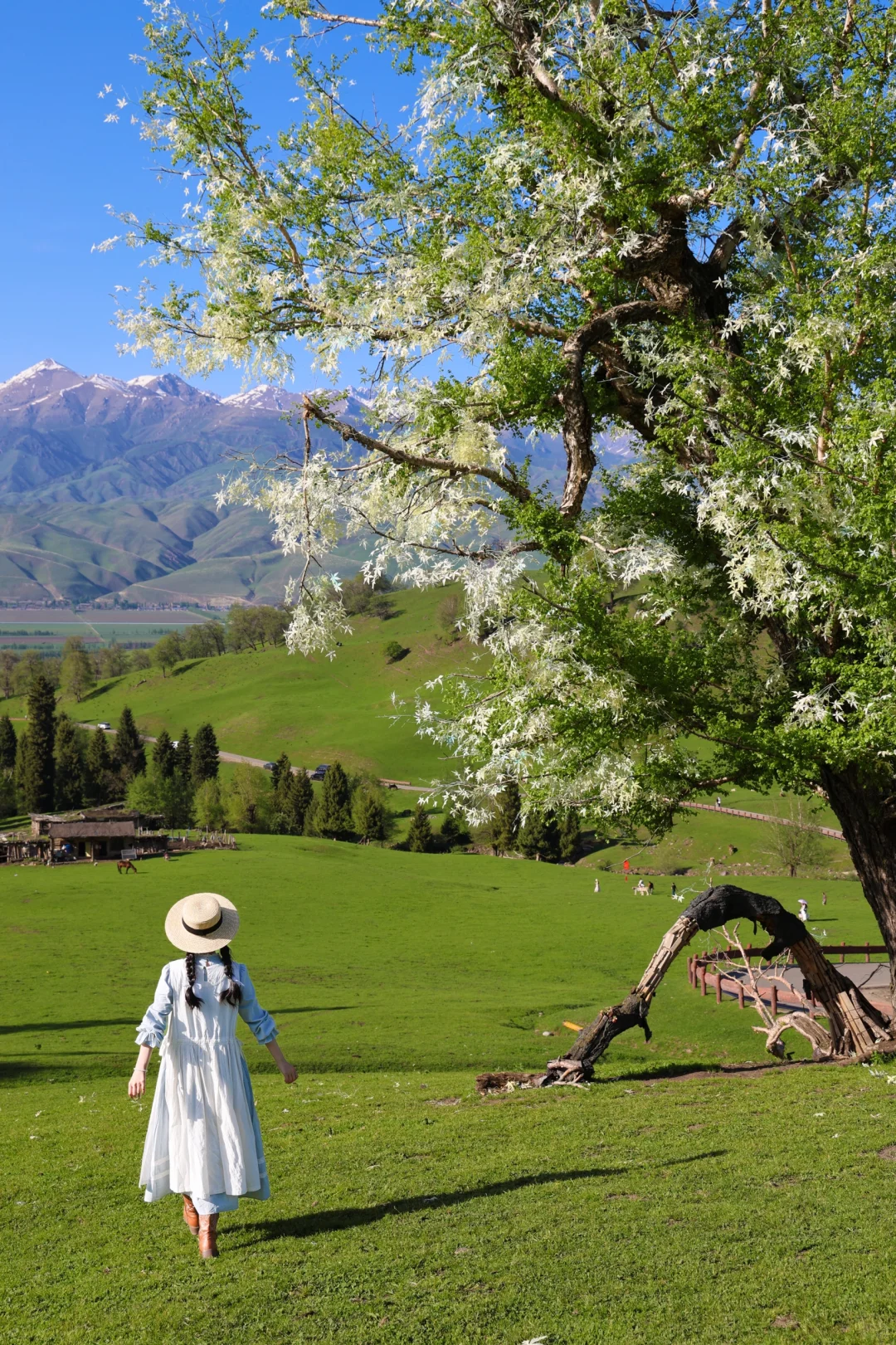 5.9｜day3那拉提【走进宫崎骏的童话世界🦌🌲】