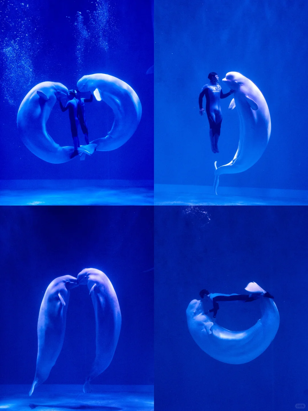 哈尔滨📍三天两夜｜懒人版旅游攻略