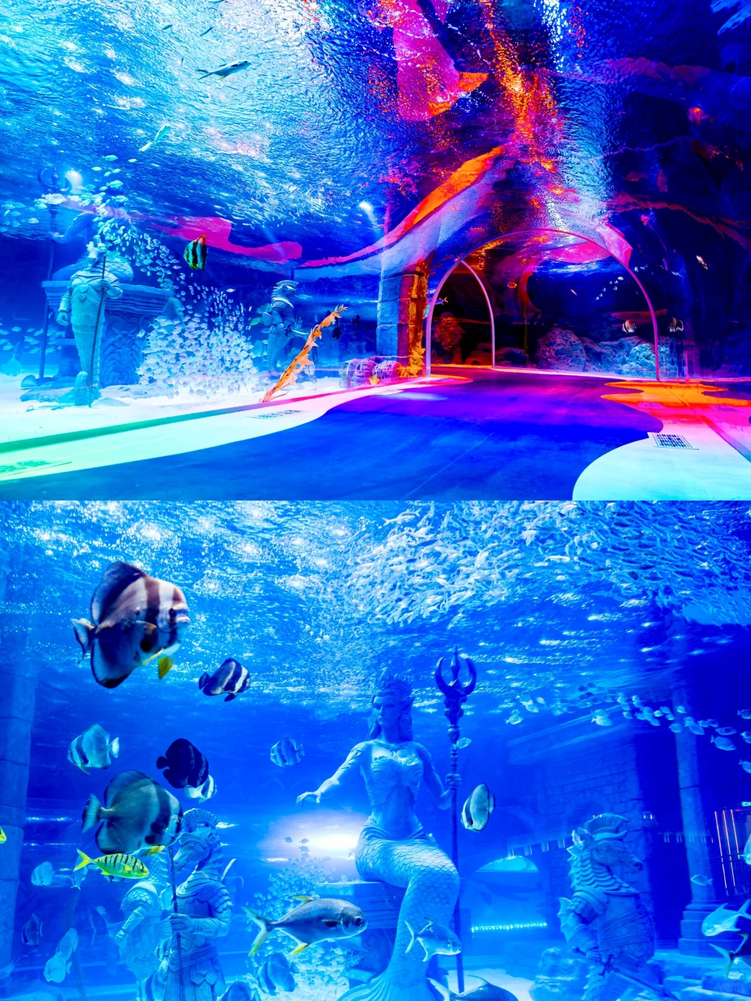 哈尔滨📍三天两夜｜懒人版旅游攻略