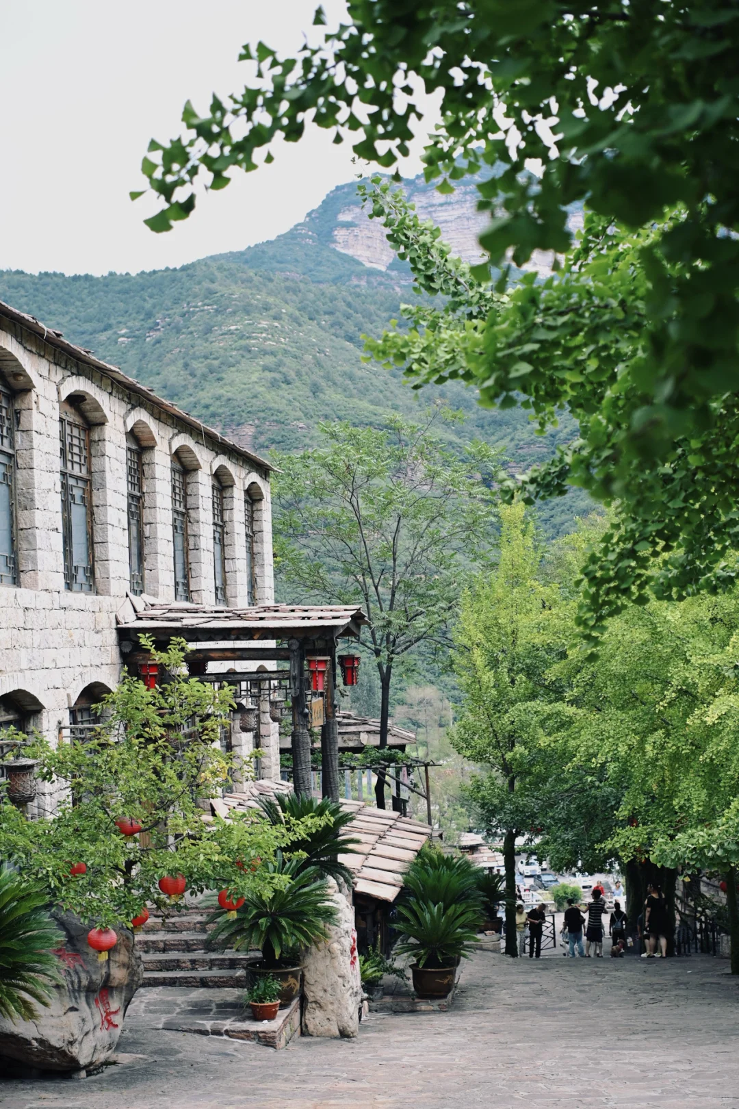 石家庄…2小时直达乌镇⛰️🍃