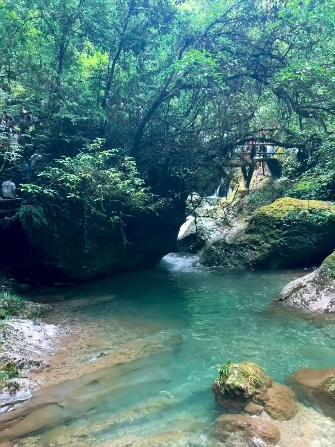今天去爬山啦～⛰️
