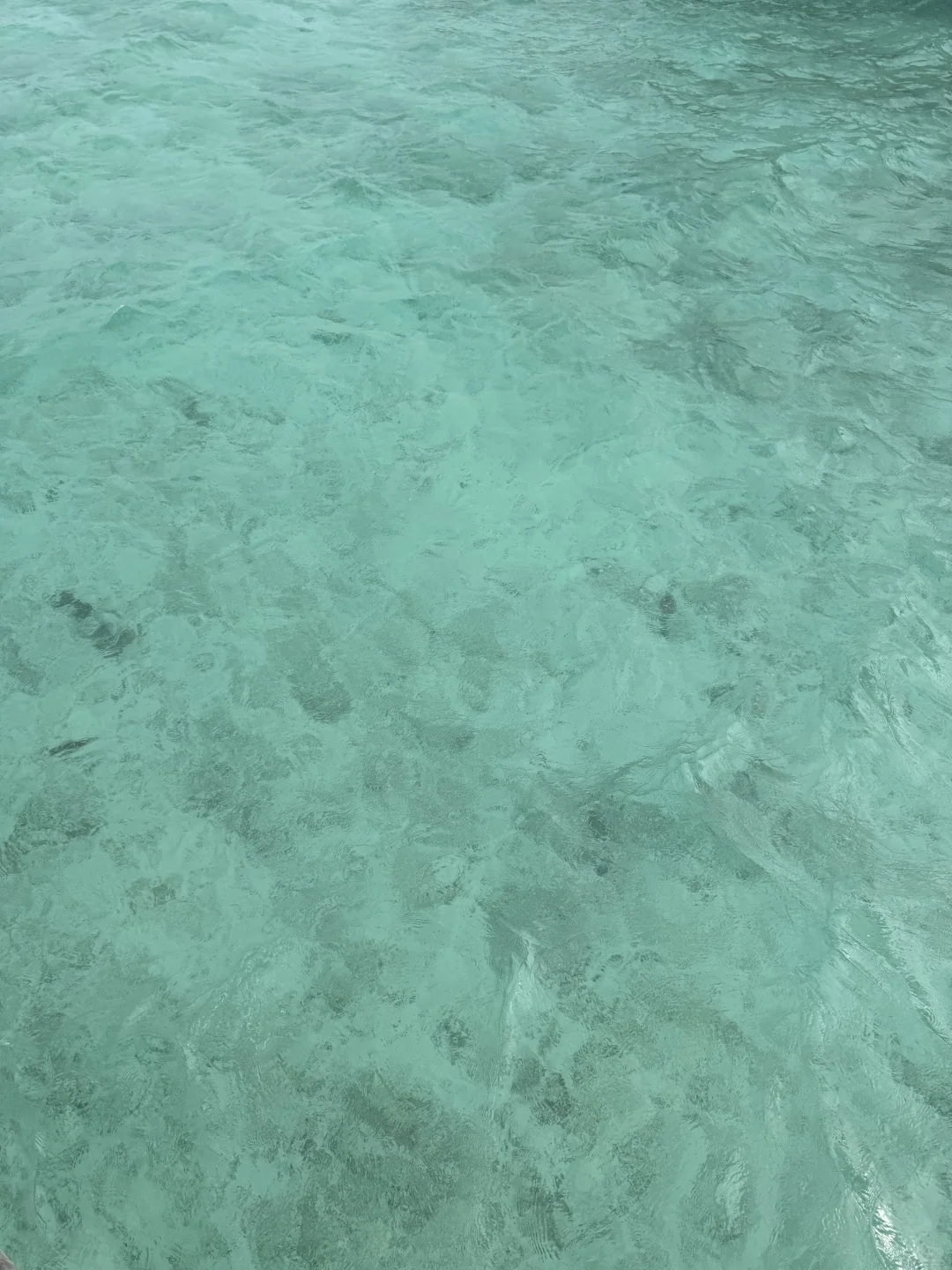 马尔代夫的存图～