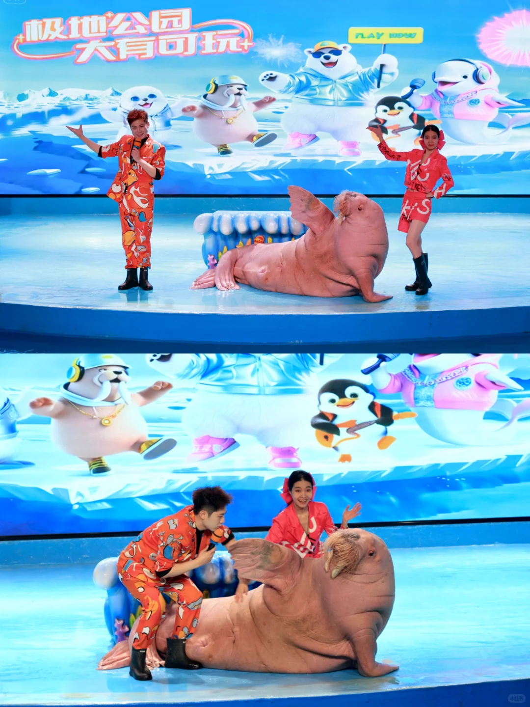 哈尔滨📍三天两夜｜懒人版旅游攻略