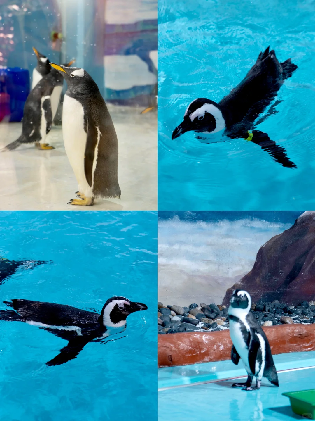 哈尔滨📍三天两夜｜懒人版旅游攻略