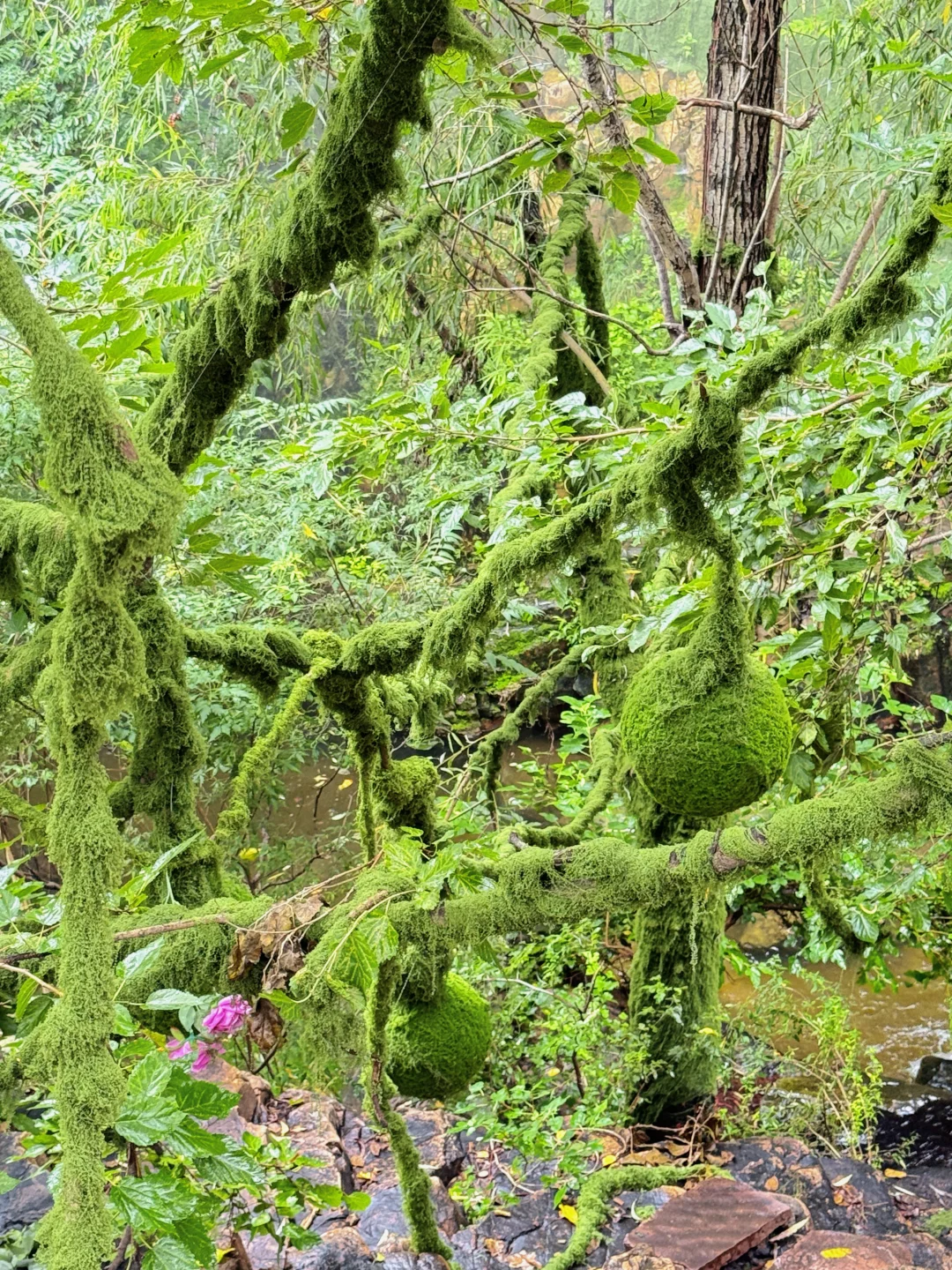石家庄2h直达!邯郸十六沟一日游攻略!超出片
