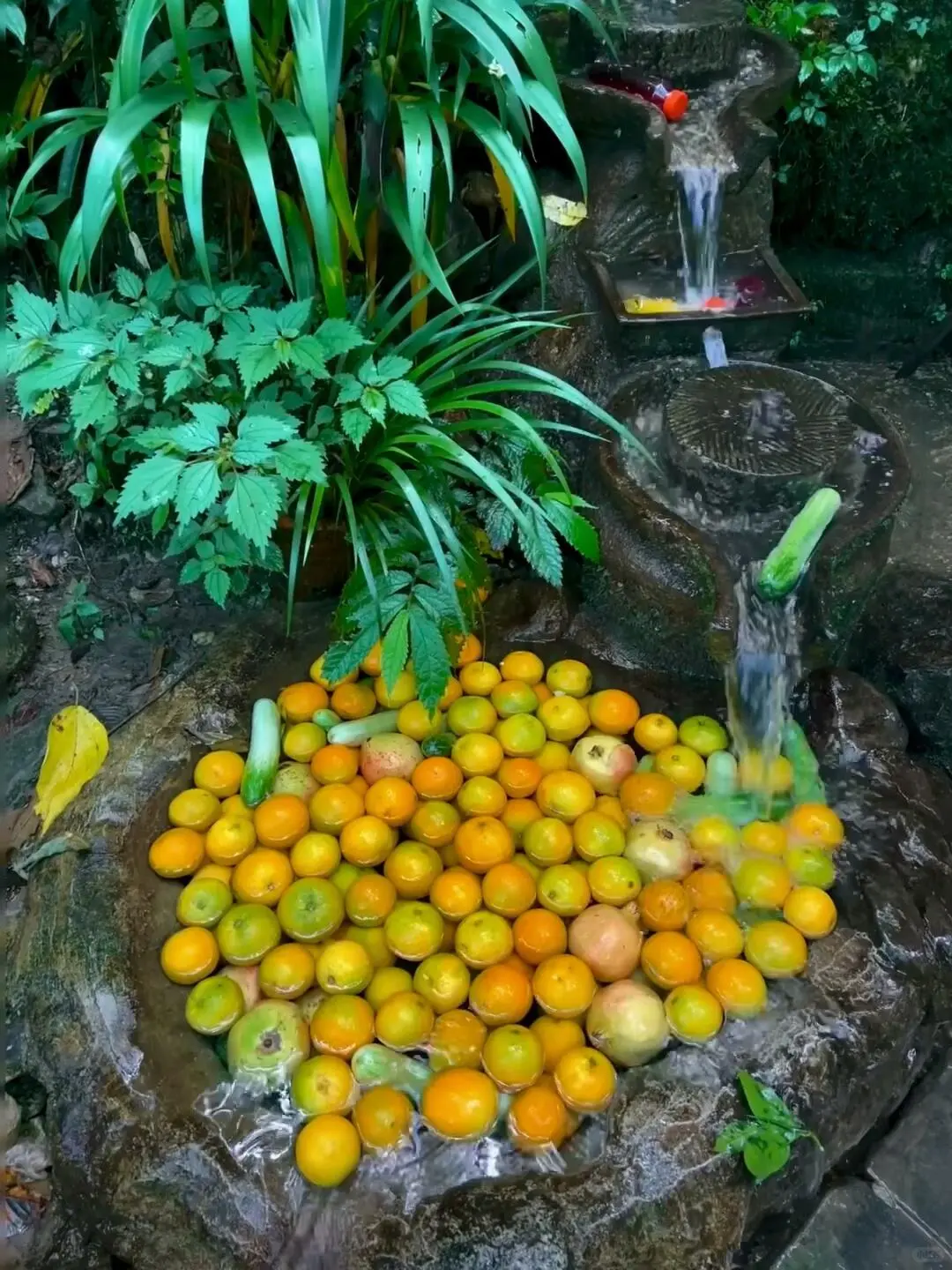 今天去爬山啦～⛰️