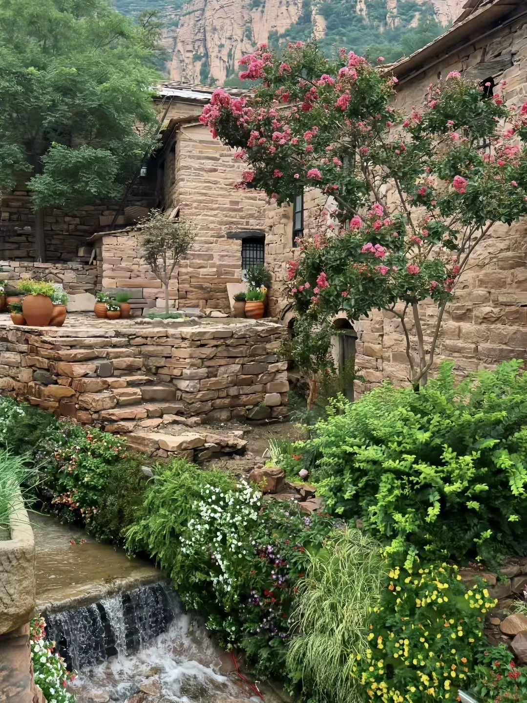 邯郸出发两小时｜寨子开花了🌷