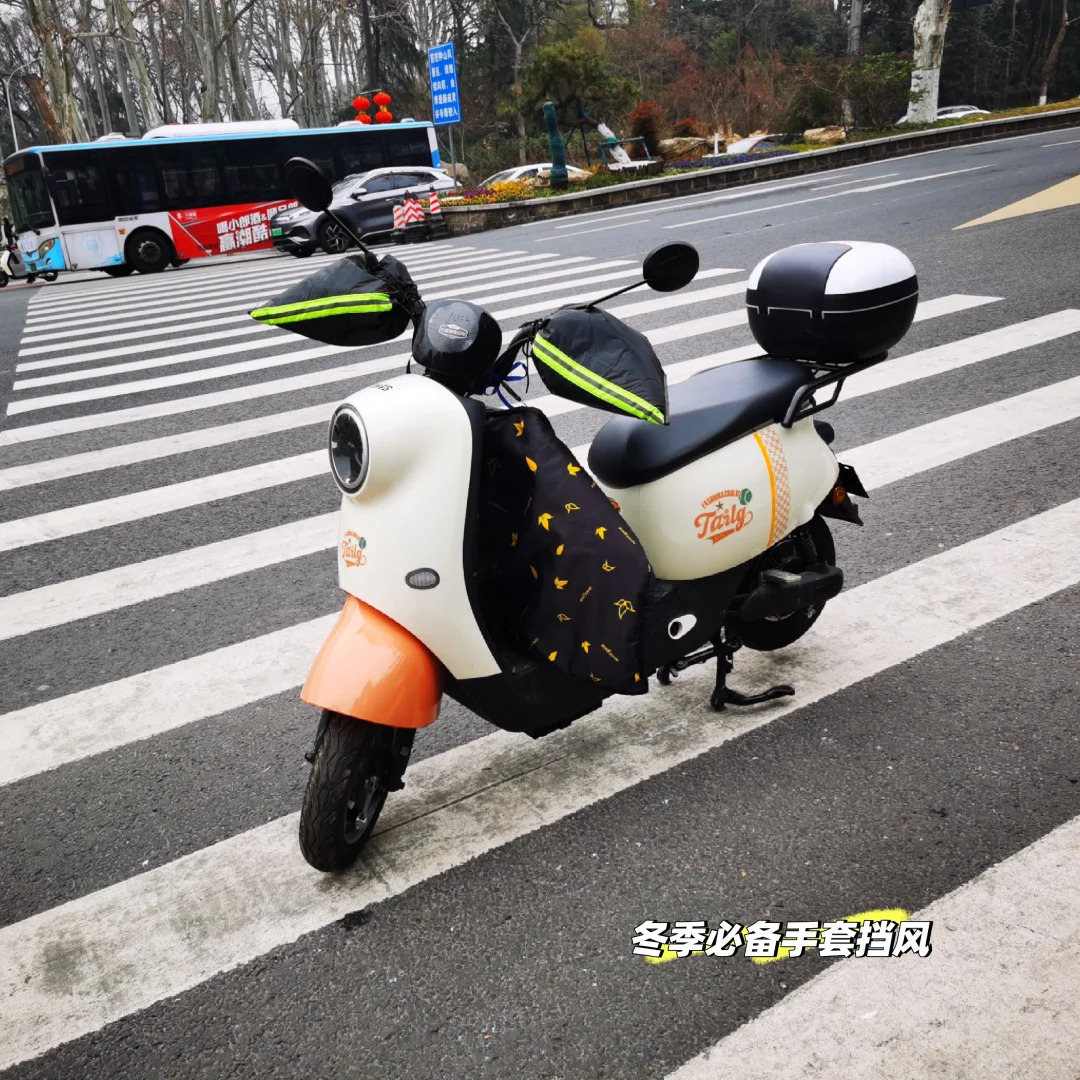 来钟山风景区,必进的帖子❗❗❗