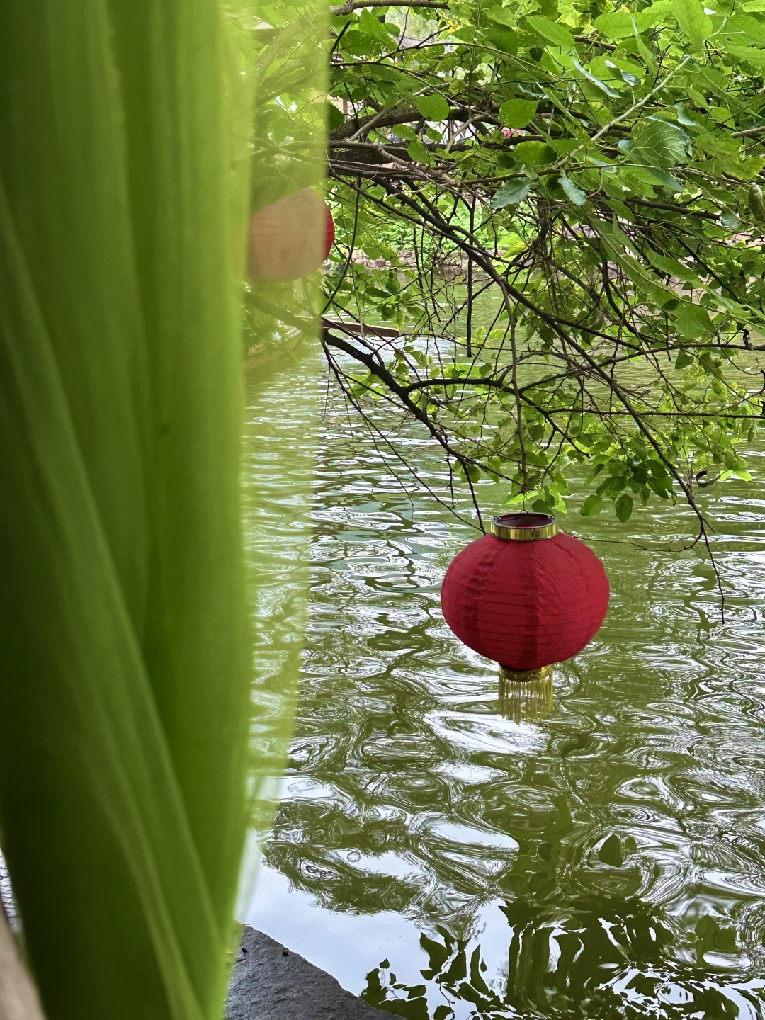 🌿邯郸十六沟 | 藏在山水间的诗意秘境